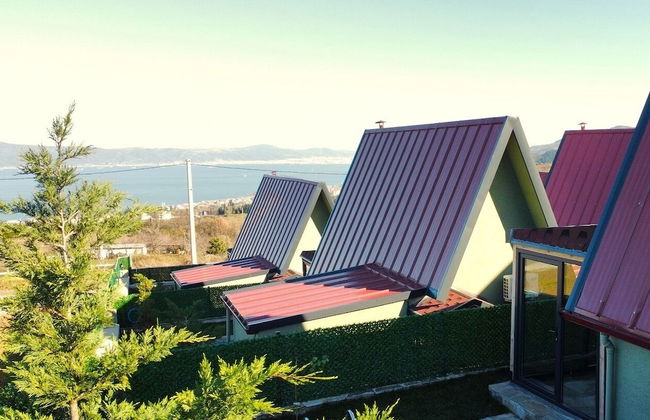 Patya BUNGALOV - Foto 68