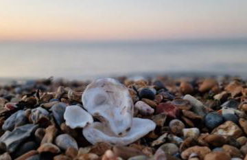 Ashdale By Sea - Foto 21