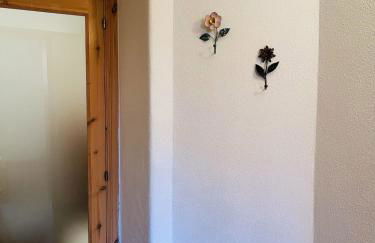 Ischia Casareccia - Foto 12