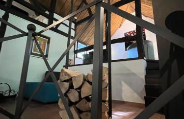 Noah - Seeleben auf Zeit am Rursee - Foto 52