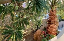 La Casa al Mare Vulcano - Foto 53