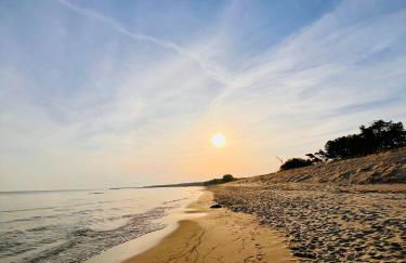 Lobster im Nauticum - Foto 18