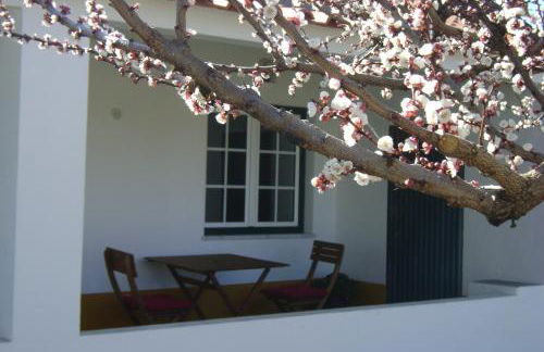 Tapada da Beirã - Foto 11