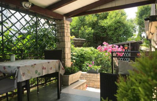 App Sorgo - Photo 45