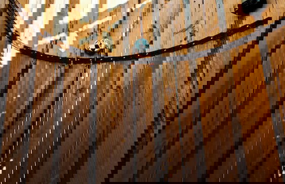 Andes Glamping - Photo 36