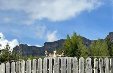 Col Dala Vara - Foto 55