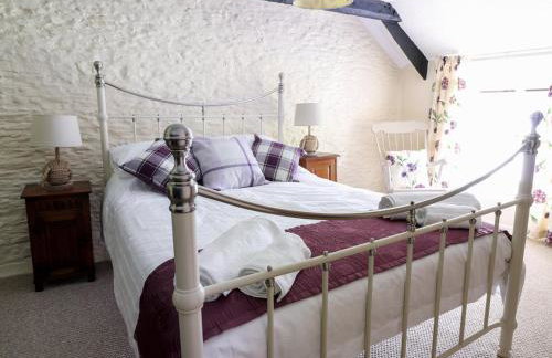 Dolau Farmhouse - Foto 35