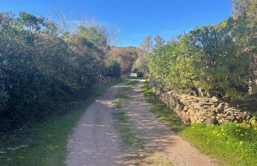 Villa Marghe - Foto 59