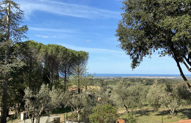 Montaleo 2 - Foto 17