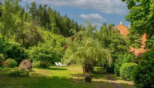 Ferienwohnungen Mittermurnthal - Foto 3, Garden