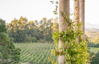 Quinta de Luou - Photo 20