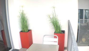 Le Petit Zénith - Foto 2