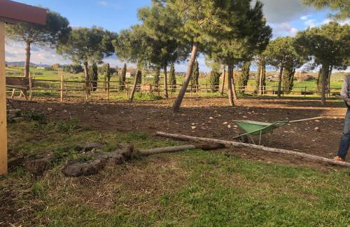 Agriturismo Casale San Benedetto - Foto 78