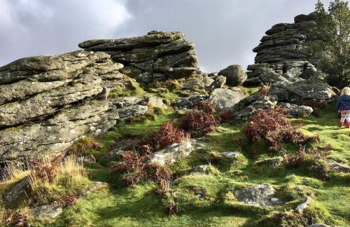 Characterful, Cosy Dartmoor Cottage - Foto 28