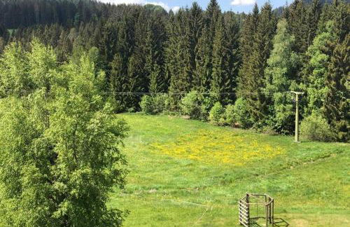 Ferienwohnung Schwarzwald - Foto 15