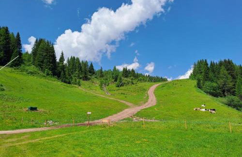 Chalet Scoiattolo Residence Sussy - Foto 5