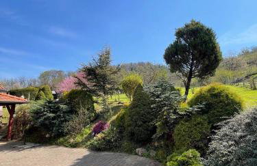 Green Home - Foto 26