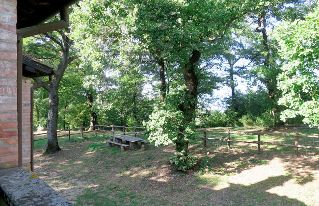 Vacanza L'Olivo - Foto 21