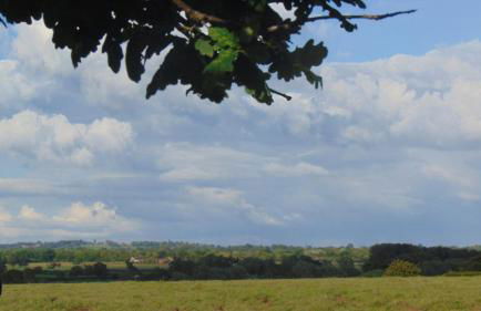 The Haybarn - Foto 40