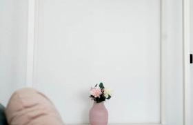 Habari Pleasure - Foto 29