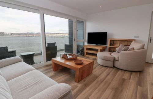 Lazy Bulldog - Foto 2