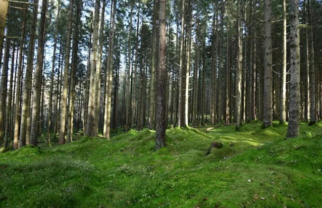 4 Person Holiday Home in Boras - Photo 10