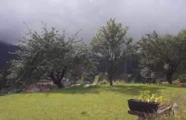 Gîte de famille dans les Vosges - Foto 21