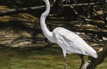 Casa Ventus - Arpoeiras Beach - Pé na Areia - Foto 53