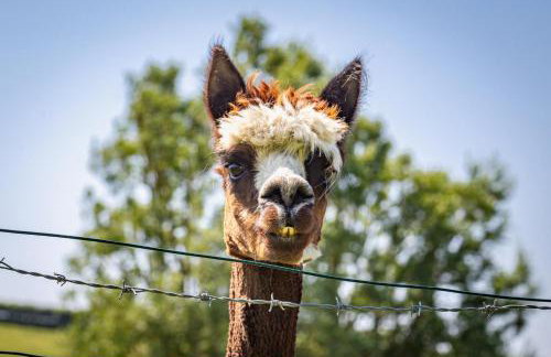 3 Bed in Whitwell oc-h33498 - Foto 22