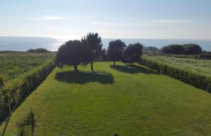 Cubelas Porto do Son - Foto 8