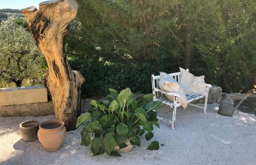 Mas provençal La Serallère au coeur des oliviers - Foto 13