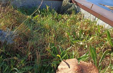 Casa do Castanheiro - Foto 63