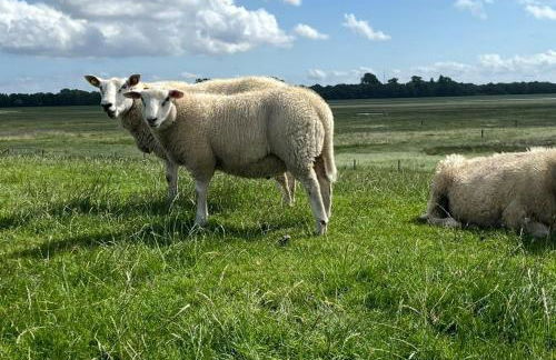 Haus Merle - Foto 18