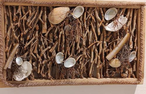 Strandmuschel - Foto 17