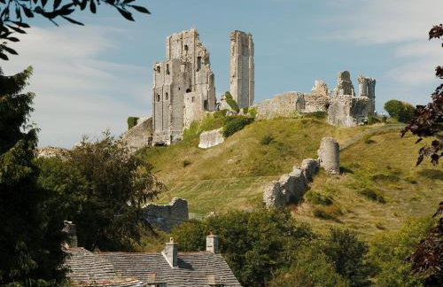 3 Bed in Wareham oc-86239 - Photo 12