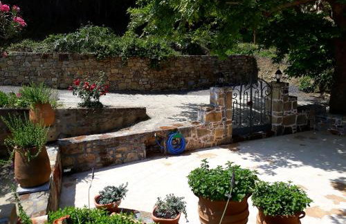 Traditional House Koukounara - Foto 45