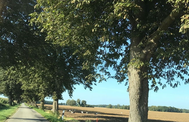 Spacious Apartment in Boddin With Garden - Foto 77