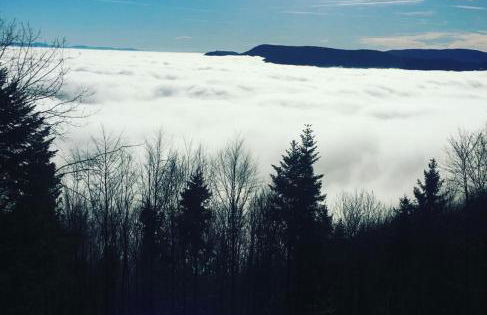 Gîte Magnolia Châtenois ALSACE - Foto 21