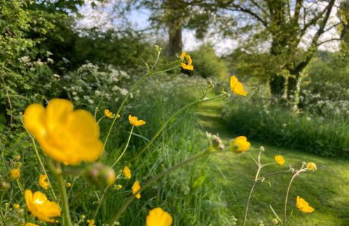 The Stable with cozy logburner - Foto 29