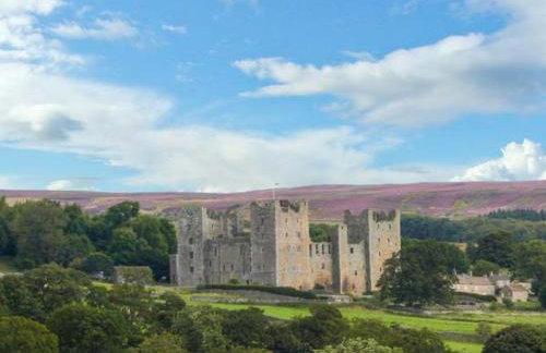 The Summer Palace - Photo 10