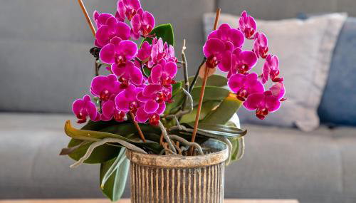 Ferienwohnung Fernsicht - Foto 5