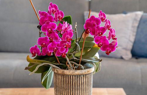 Ferienwohnung Fernsicht - Foto 5