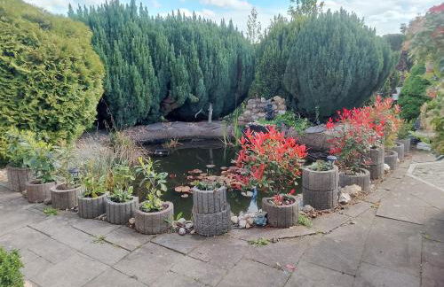 Eifelstube Langerwehe - Foto 23