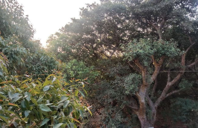 Devansh Villa - Photo 27