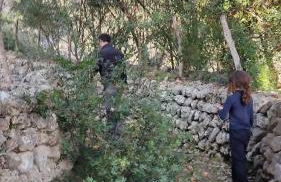 Villa Ideal - Foto 24