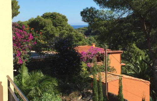 Com Casa Nostra - Photo 14