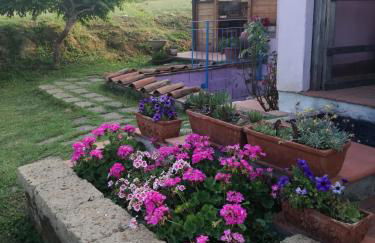 Agriturismo Campolungo - Foto 46