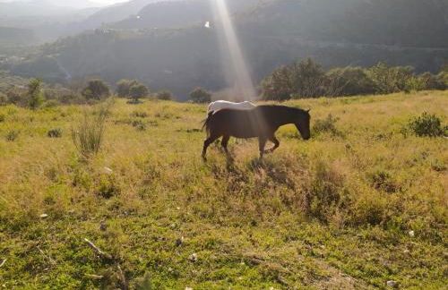 Balcón de Carataunas en la Alpujarra - Foto 29