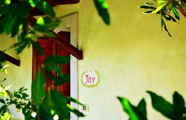 Ars Naturae Biologic Farm - Foto 22