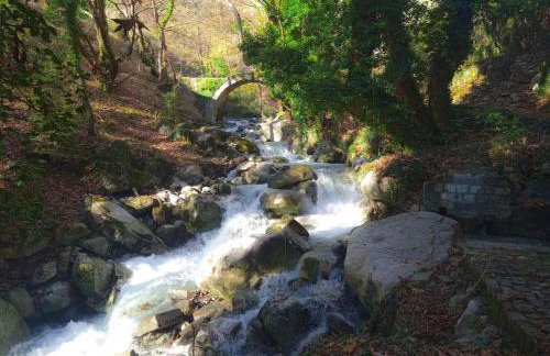 το Πέτρινο της Στέλλας - Foto 26